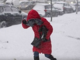 По-настоящему дикая зима: в гидрометцентре дали прогноз на январь