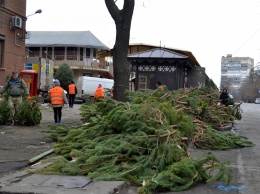 В Одессе разбирают брошенные елочные базары. Часть деревьев переработает "Горзелентрест"