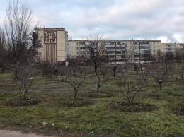 Стало известно, кто в Никополе высадил фруктовый сад на пустыре перед хлебзаводом