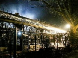 В Германии виновницы трагического пожара в зоопарке сами пришли в полицию
