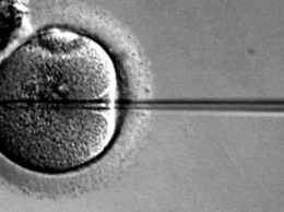 Замороженные дети и искусственное оплодотворение очень опасно