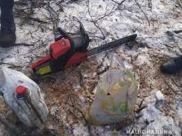 В Харьковской области полицейские «накрыли» нескольких «черных лесорубов», - ФОТО