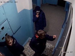 На Николаевщине малолетние посевальщики оригинально мстили тем, кто не открыл им двери
