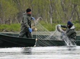 В Николаеве поймали двух рыбаков, нанесших убыток на более чем 1000 гривен