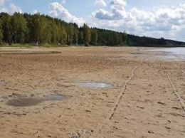 Полиция открыла уголовное дело из-за обмеления озера Свитязь