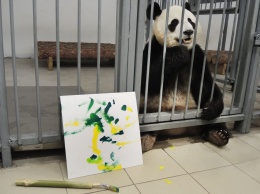 Панды в Московском зоопарке начали учиться рисовать