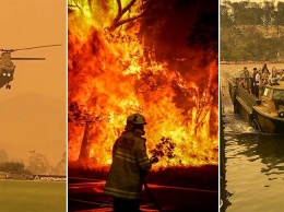 Грустная инфографика: шокирующий размер австралийских лесных пожаров