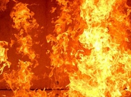 Террористы сожгли жилой дом в населенном пункте Викторовка Донецкой области
