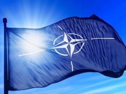 НАТО приостанавливает учения в Ираке