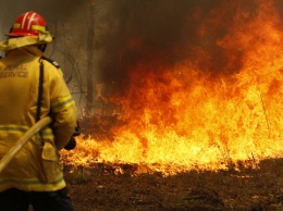 Австралию охватили масштабные пожары: экологи в ужасе - уже погибли полмиллиарда животных