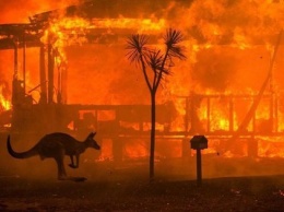 Фотофакт: Австралийские пожары видны из космоса
