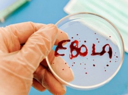 В ДР Конго более двух тысяч человек умерли от вируса Эбола