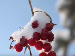 На смену осадкам придет сухая, морозная температура воздуха! Погода в Украине на 6 января