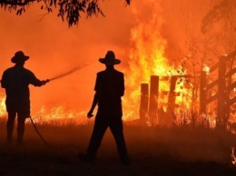 Пожары в Австралии начали формировать погоду