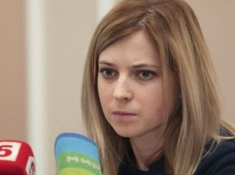 Наталья Поклонская назвала идею Руслана Марцинкива и Артема Семинихина "бредом"
