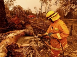 Власти Австралии выделят около 1,4 млрд долларов на восстановление после лесных пожаров