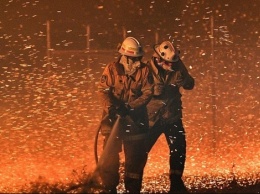 Беспощадная стихия: жуткие фото пожара в Австралии напугали весь мир