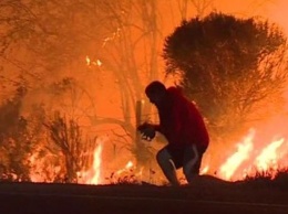 Пожары в Австралии: Правительство Украины готово оказать помощь