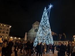 В очередной раз самовыразился: чешский художник влез на рождественскую ель во Флоренции