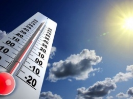 Катастрофическая жара и природные аномалии: прогноз синоптиков на 2020 год насторожил