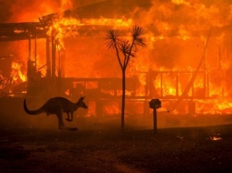Пожары в Австралии: дым достиг берегов Латинской Америки