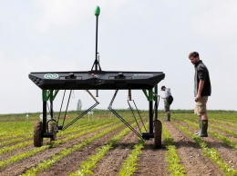 Экономия и здоровье. Швейцарский робот распыляет микродозы гербицидов только на сорняки (ФОТО)