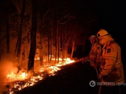 ''Святой боже не поможет'': украинец, живущий в Австралии, раскрыл правду о пожарах