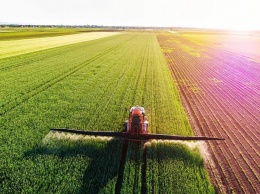 Днепропетровская область вошла в пятерку областей по приросту сельхоз производства