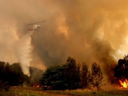 В Новой Зеландии бушует лесной пожар