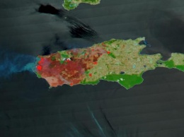"Шрамы" от пожаров заметны на трети острова Кенгуру: фото NASA