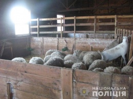 Под Киевом в частном зоопарке издевались над животными, полиция открыла производство (фото)