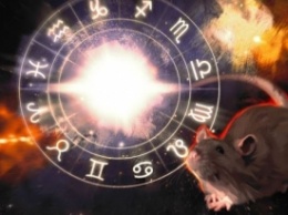 Что готовит Металлическая Крыса 12 знакам китайского гороскопа в 2020 году