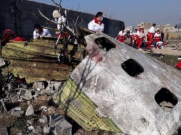 Авиакатастрофа в Иране превратилась в вакханалию фейков и домыслов