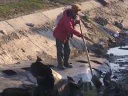 Новое видео крушения Боинга МАУ в Иране слили в сеть