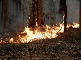 Лесные пожары в Австралии: власти предупредили о новой волне экстремальной жары