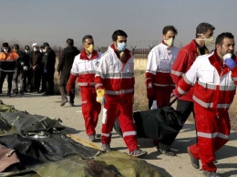 Правоохранители собрали образцы ДНК родственников погибших в авиакатастрофе в Тегеране украинцев