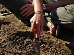 В Новограде-Волынском археологи нашли почти 200 артефактов
