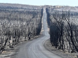 В Австралии лесной пожар охватил площадь более 500 тысяч га