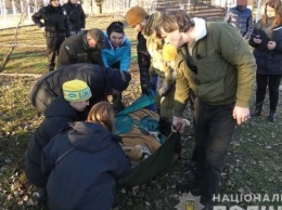 Шестерых тигров, найденных на острове Жуков, "приютили" на Киевщине и Харьковщине