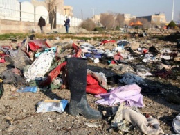 Соцсети: Иран зачистил бульдозерами место падения самолета МАУ