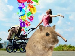 Крыса выберет имя: Как называть детей в 2020 году для счастья и удачи