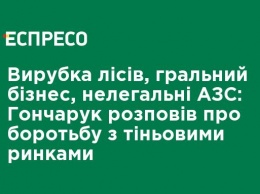 Вырубка лесов, игорный бизнес, нелегальные АЗС: Гончарук рассказал о борьбе с теневыми рынками