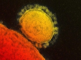 От нового типа коронавируса впервые умер житель Китая