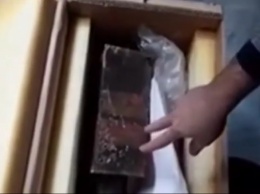 "Черный ящик" сбитого Боинга расшифруют в Украине
