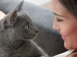 Специалисты объяснили, почему лучше не смотреть в глаза кошке