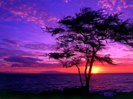 Над Запорожьем запечатлели удивительный пурпурный закат (ФОТО)