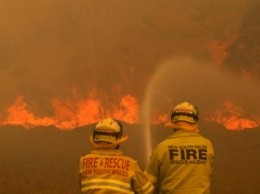 Пожары в Австралии: облако дыма быстро движется вдоль поверхности Земли