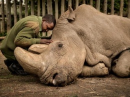 Опубликовано пять лучших снимков десятилетия по версии National Geographic