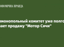 Антимонопольный комитет уже полгода изучает продажу "Мотор Сичи"