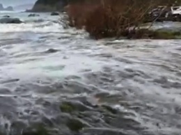 Мощная волна смыла туристов (видео)
